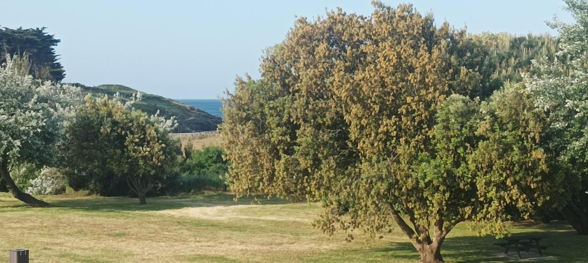 Appartement Vue Mer Exceptionnelle A 100M Tres Belle Plage Saint-Gildas-de-Rhuys Bagian luar foto